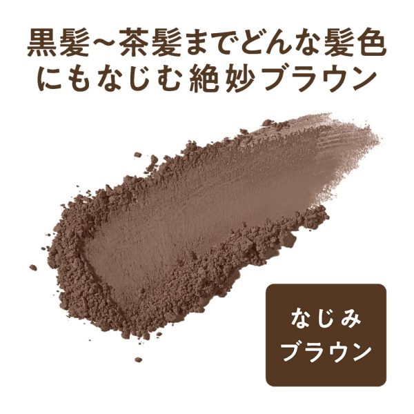Cezanne Hair Makeup Powder in Familiar Brown 4.0g - Hair Color Enhancing Powder Fashion - Image 4